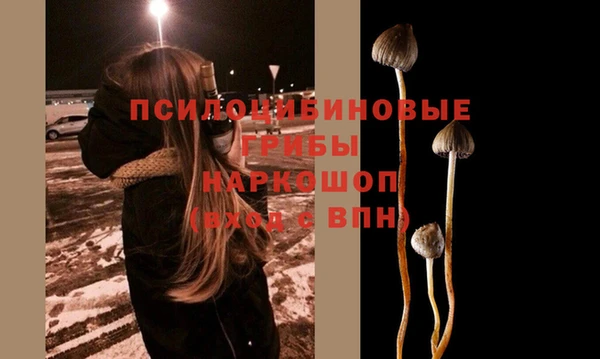 Альфа ПВП Абдулино