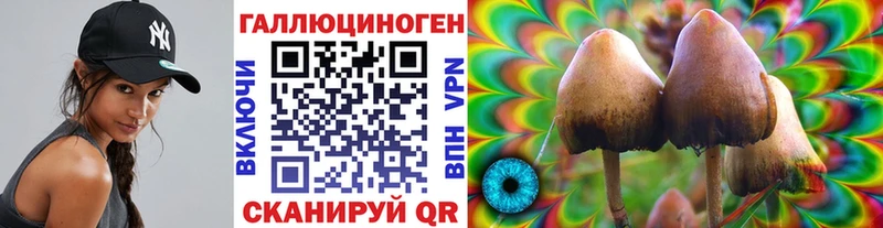 Псилоцибиновые грибы MAGIC MUSHROOMS  купить  цена  Тюкалинск 